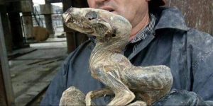 "Απόκοσμα" πλάσματα αποκαλύφθηκαν με το λιώσιμο πάγων