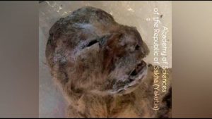 "Απόκοσμα" πλάσματα αποκαλύφθηκαν με το λιώσιμο πάγων