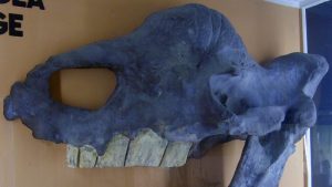 "Απόκοσμα" πλάσματα αποκαλύφθηκαν με το λιώσιμο πάγων