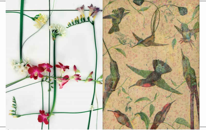 «Of Wings and Flowers»: Έκθεση Ζωγραφικής και Φωτογραφίας στο TWO’S